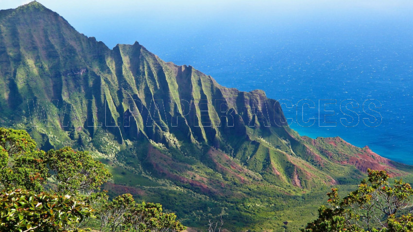 Hawaii Mountain