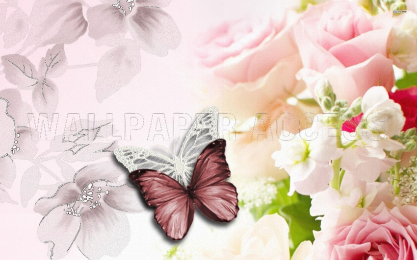 Butterflies Wallpapers