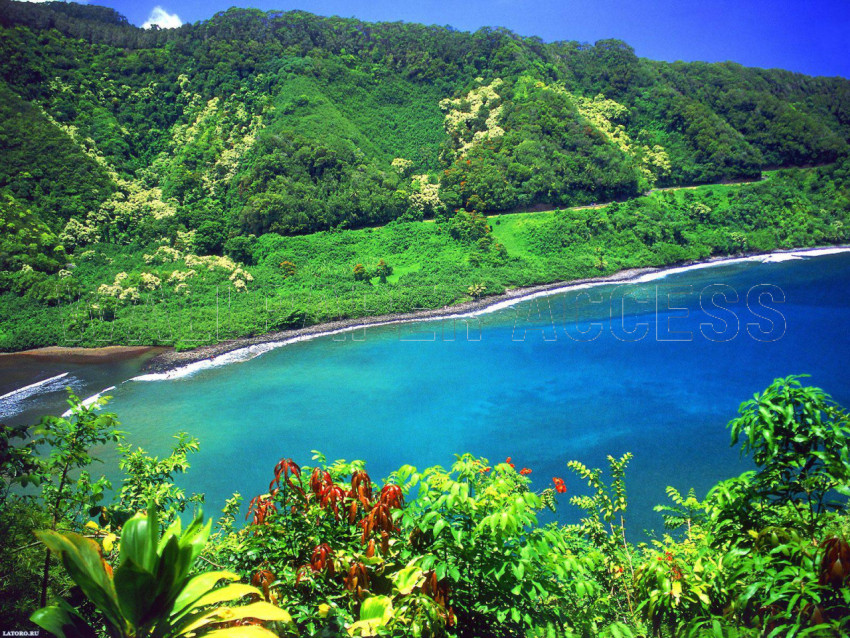 Hawaii Mountain